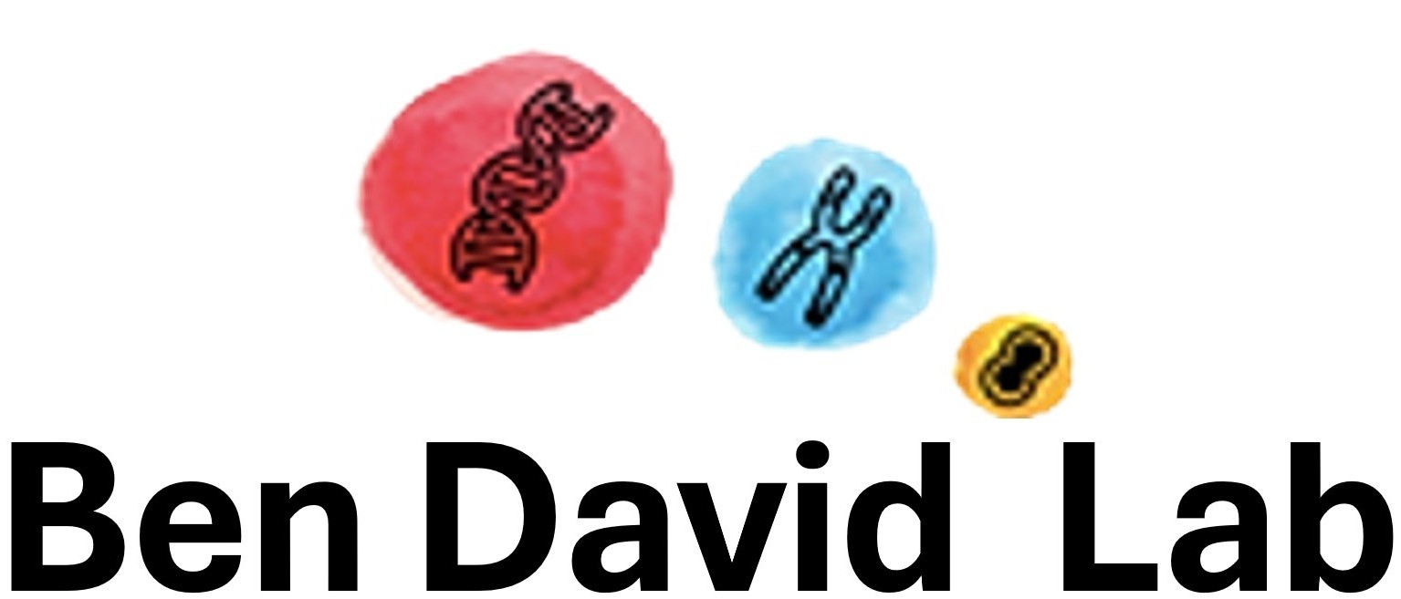 UBD Logo